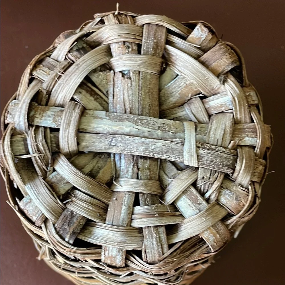 Woven Basket with Sand dollar accent